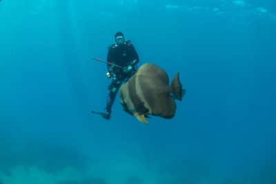 Capt Phil Renaud diving.