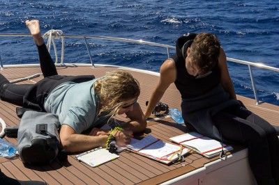 Coral research scientists review data gathered underwater.