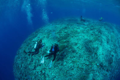 KSLOF science divers survey corals at outer edge of the Great Barrier Reef.