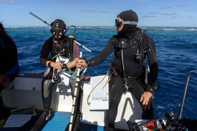 Scientific divers look like underwater ninjas.