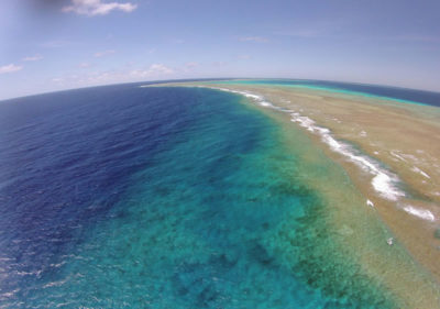 Ribbon Reef 7 of the Great Barrier Reef