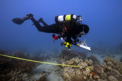 Measuring Reef Rugosity of the Great Barrier Reef
