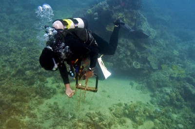 Scientific diver with tangled chain.