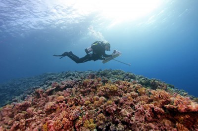 Scientific research diver with stereocam over Great Barrier Reef.