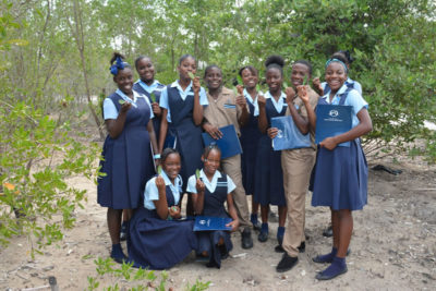 New Mangrove Restoration Project for Jamaica