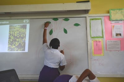 Students listed the benefits and threats on mangrove leaves after the seminar.