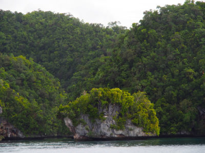 Inside Nikko Bay in the Airai Complex of Rock Islands, Palau