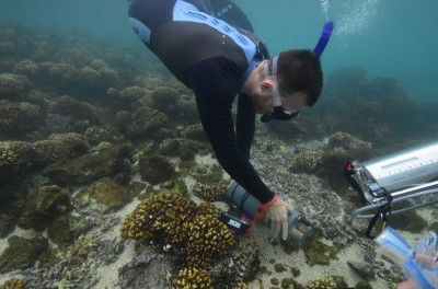 Research diver measures the pH of the seawater at Galapagos