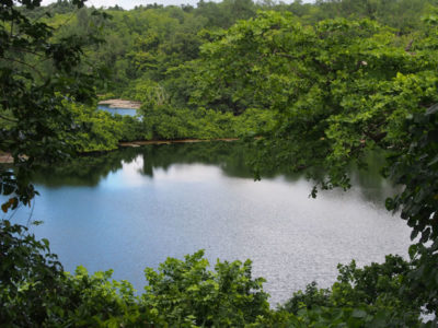 marine lakes of Anguar, Palau