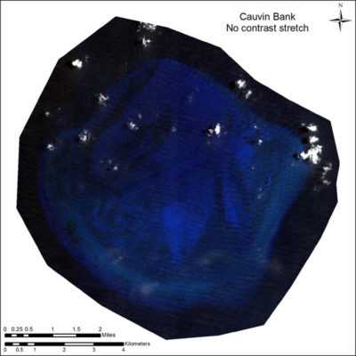 Satellite image of Cauvin Bank, No Contrast Stretching