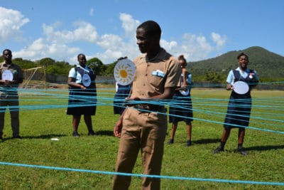 mangrove food web activity at Jamaican mangrove project 3