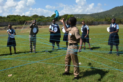 mangrove food web activity at JAMIN - Jamaican mangrove project