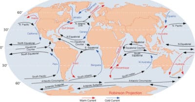 KSLOF Coral Reef Education: Free Coral Distribution CourseLiving Oceans ...