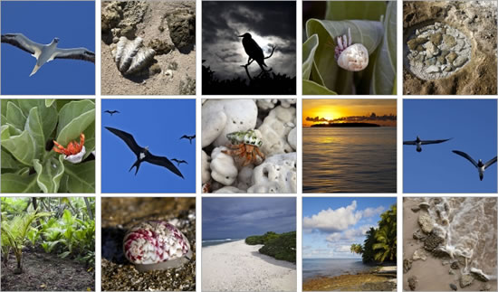 Islands of the Chagos Archipelago Photo Album