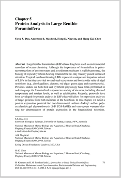 Protein Analysis in Large Benthic Foraminifera