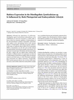 Rubisco Expression in the Dinoflagellate Symbiodinium sp. Is Influenced by Both Photoperiod and Endosymbiotic Lifestyle