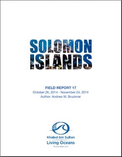 Solomon Islands Field Report