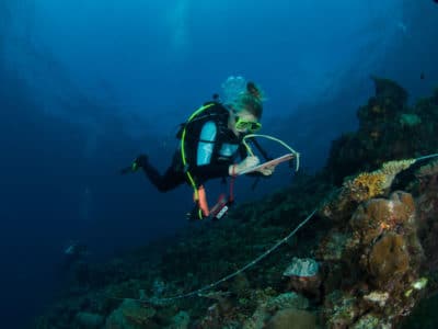 Kristen Stolberg surveys a reef in the Solomon Islands