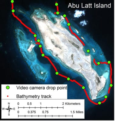 Groundtruthing at Farasan Banks