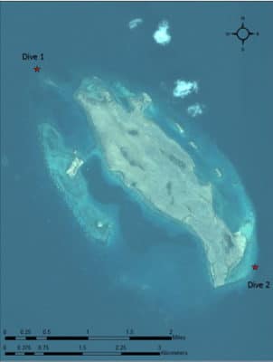 Abu Latt Island Dive Sites