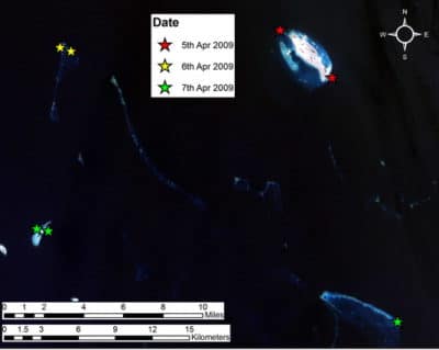 Farasan Banks dive sites