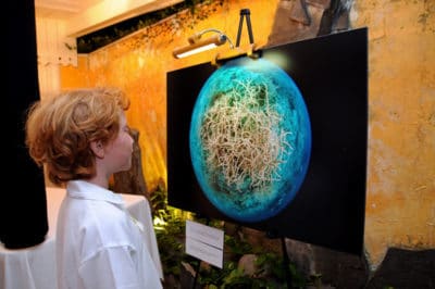 French Polynesia Photo Exhibit featuring the work of iLCP conservation photographer Michelle Westmoreland