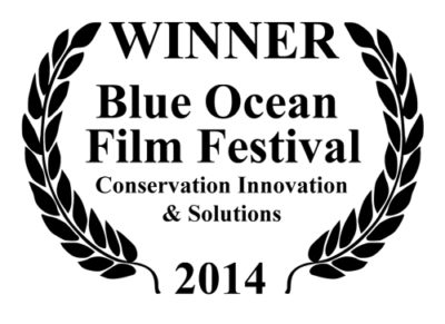Winner blue ocean film festival