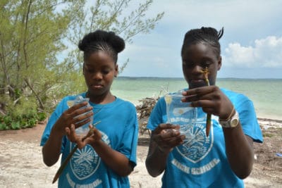 Bahamian Mangroves Awareness (BAM)