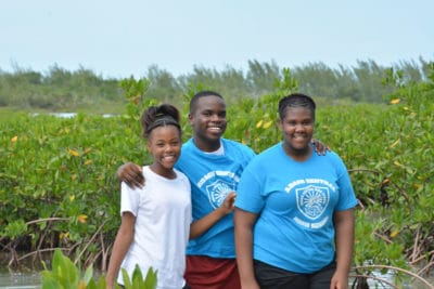 Bahamian Mangroves Awareness (BAM)