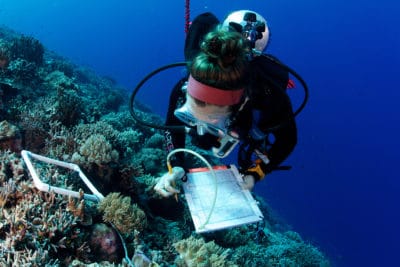 Marine Science and Coral Reef Research