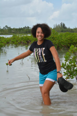 A student happily drudging through the mangroves
