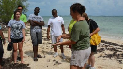 KSLOF Director of Education, Amy Heemsoth teaching students about the different type of mangrove propagules.