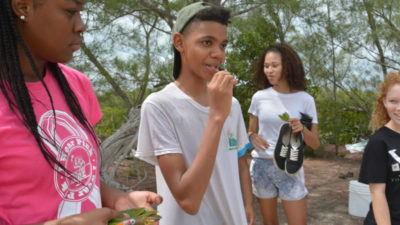 Students from Forest Heights Academy taste mangrove leaves.