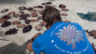 LOF Chief Scientist Dr. Andy Bruckner reviews COTS catch on the beach