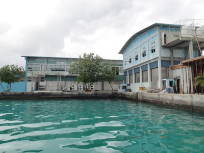 Tuna processing plant at Himmafushi, Maldives