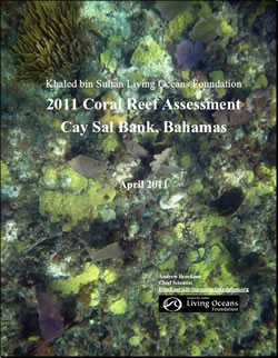 Cay Sal Bank Bahamas Field Report