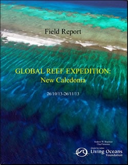 New Caledonia Field Report