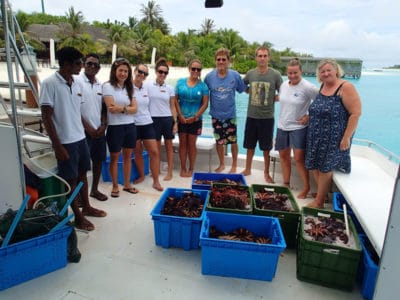 Removal team at Anantara.