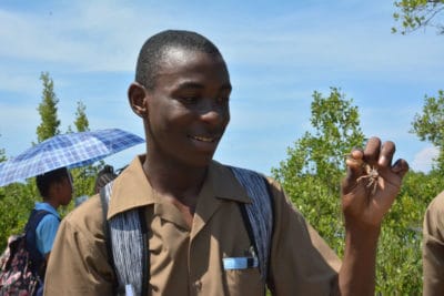 Jamaica’s Holland High School student holding up a fiddler crab during mangrove field trip
