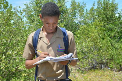 Tenth grade Biology student, Javar Barnes sketching a white mangrove leaf in his Mangrove Journal during a mangrove field trip