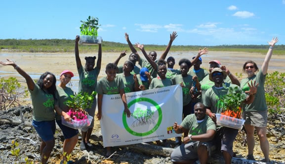 B.A.M. - A New Project to Restore Mangroves in The Bahamas