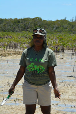 Cassandra Abraham plants mangrove propagules during the B.A.M. restoration at Camp Abaco.