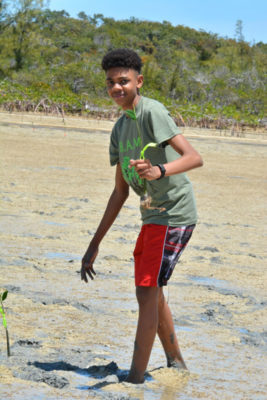 planting my mangroves