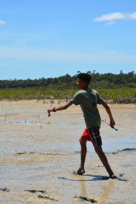 Walking through the mangrove mud was difficult