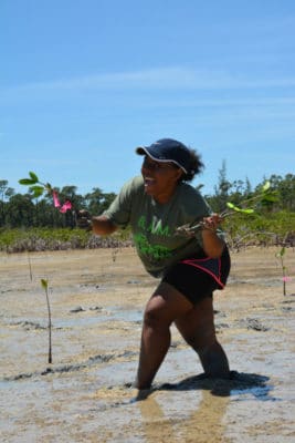 Bahamas Mangrove Project student up to her knees in mud.
