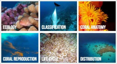 New Online Marine Science Curriculum units