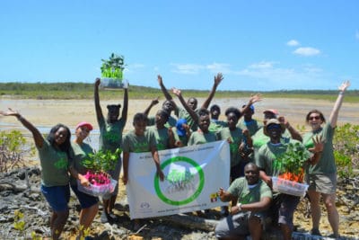 Bahamas Mangrove Project Teacher Reflection