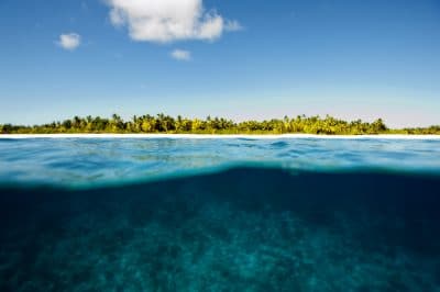 BIOT - Coral Reefs: Trouble in Paradise