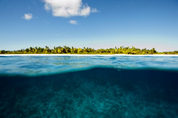 Coral Reefs: Trouble in Paradise -A Living Oceans Foundation FilmLiving ...