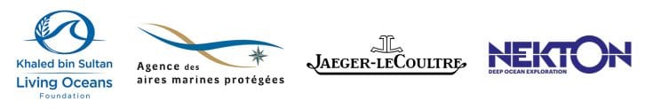 World Heritage in the High Seas Logos